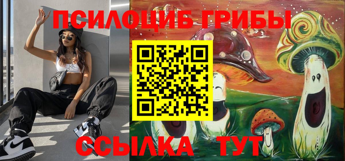 Галлюциногенные грибы Psilocybine cubensis Кировск